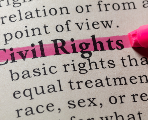 Fake,Dictionary,,Dictionary,Definition,Of,The,Word,Civil,Rights,.