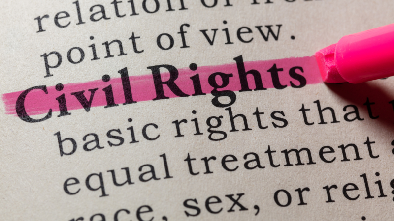 Fake,Dictionary,,Dictionary,Definition,Of,The,Word,Civil,Rights,.