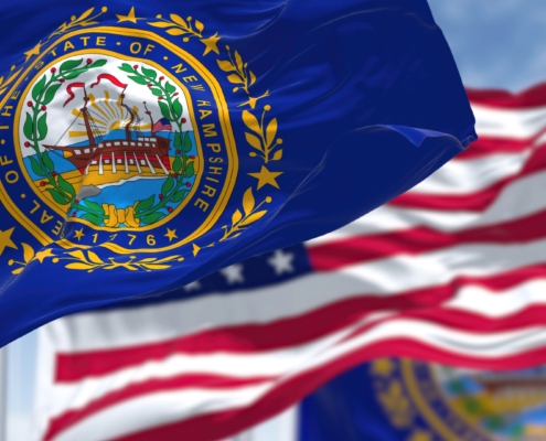 The,New,Hampshire,State,Flag,Waving,Along,With,The,National