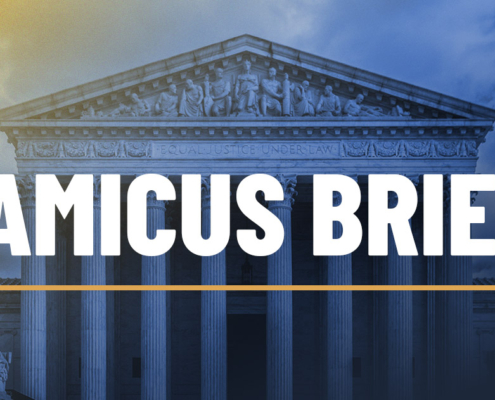 Litigation_Amecius Brief_1