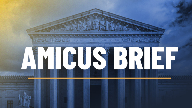 Litigation_Amecius Brief_1
