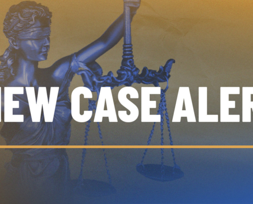 Litigation_New Case_2