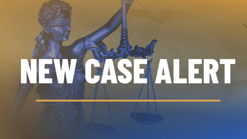 Litigation_New Case_2