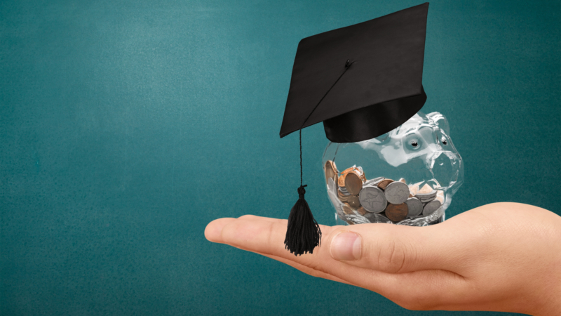 Education,Scholarship,Student,Icon,Investment,Money,Academic