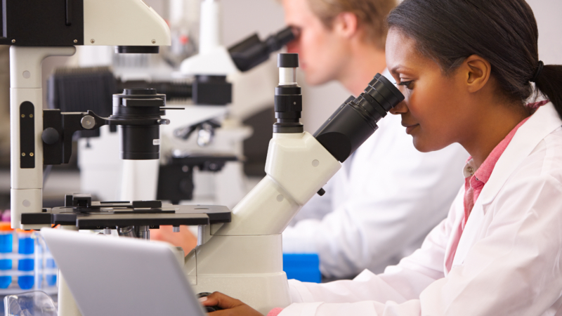 Male,And,Female,Scientists,Using,Microscopes,In,Laboratory