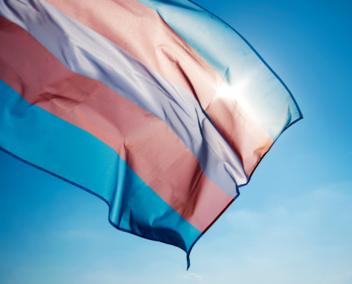 Closeup,Of,A,Transgender,Pride,Flag,Waving,On,The,Blue