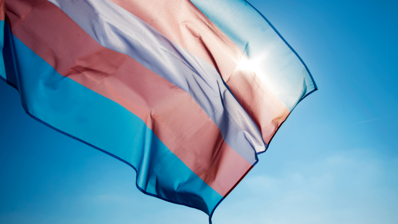 Closeup,Of,A,Transgender,Pride,Flag,Waving,On,The,Blue