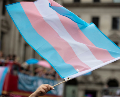 A,Transgender,Flag,Being,Waved,At,Lgbt,Gay,Pride,March