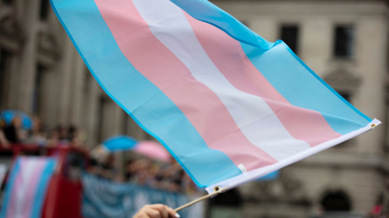 A,Transgender,Flag,Being,Waved,At,Lgbt,Gay,Pride,March