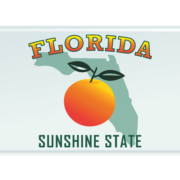 Florida,License,Plate.,Vector,Illustration,On,White,Background.