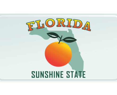 Florida,License,Plate.,Vector,Illustration,On,White,Background.