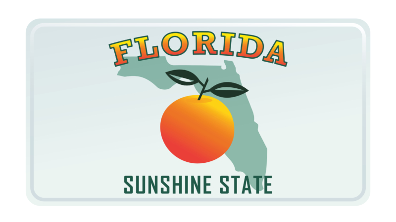 Florida,License,Plate.,Vector,Illustration,On,White,Background.