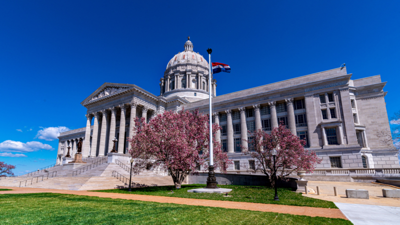 Missouri,State,Capitol,With,Pink,Magnolia,Tree,Flowers,In,Spring