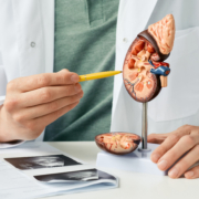 Urology,And,Treatment,Of,Kidney,Disease.,Doctor,Analyzing,Of,Patient