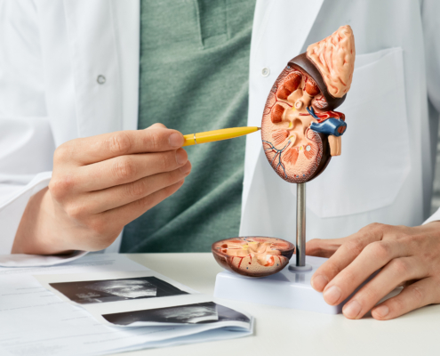 Urology,And,Treatment,Of,Kidney,Disease.,Doctor,Analyzing,Of,Patient