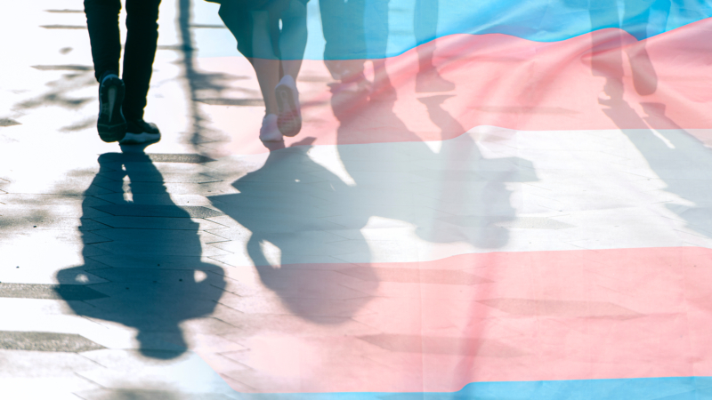 Transgender,Flag,,Shadows,And,Silhouettes,Of,People,On,A,Road,