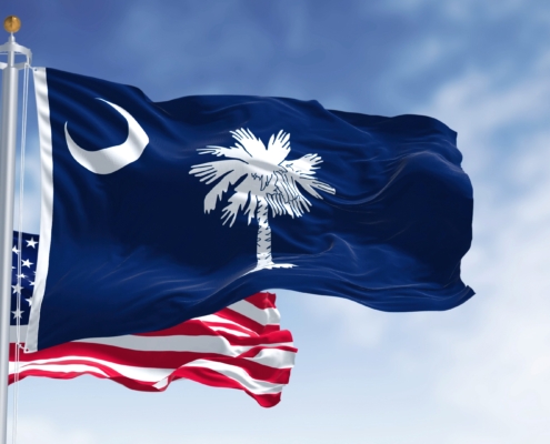The,South,Carolina,State,Flag,Waving,Along,With,The,National
