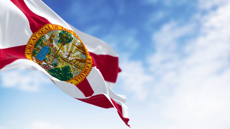 Close-up,View,Of,The,Florida,State,Flag,Waving,In,The
