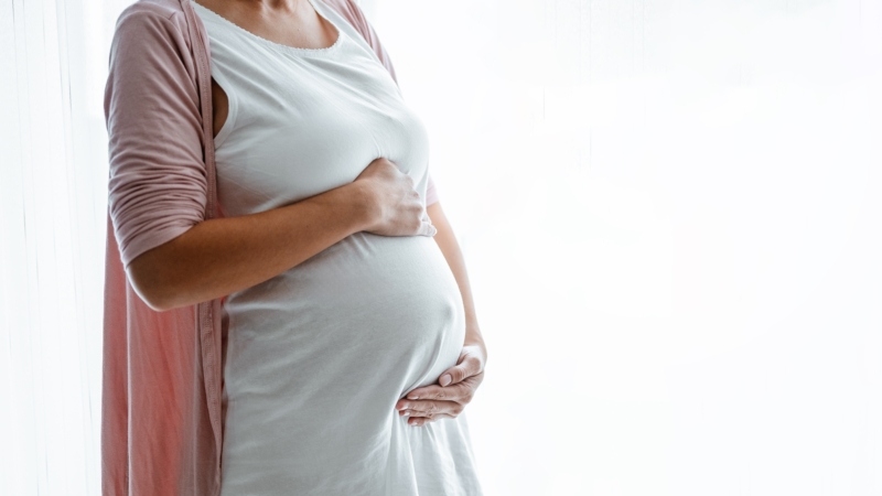 Parenthood,,Pregnancy,,Motherhood,,Pregnant,,Birth,,Childbirth,,Human,,Mother,,Parenting,,Stomach.