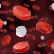 Close-up,3d,Rendering,Of,Red,Blood,Cells,And,White,Blood