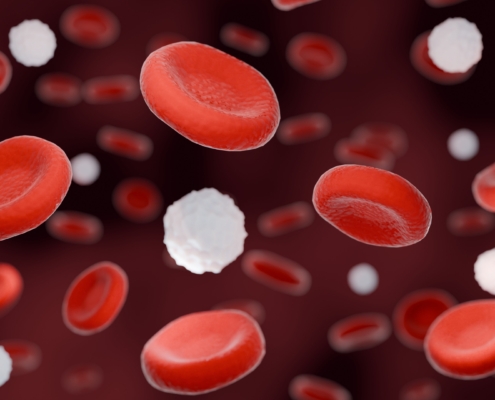 Close-up,3d,Rendering,Of,Red,Blood,Cells,And,White,Blood