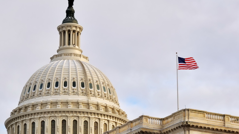 U.s.,Capitol,(washington,Dc,,Usa)